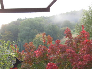 Herbst Nebel 04