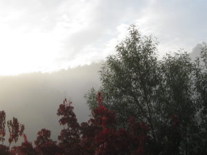 Herbst Nebel 10