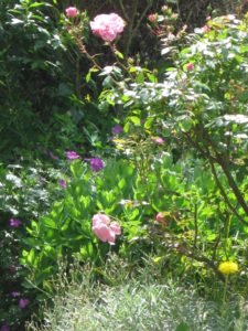 Uncategorized 152